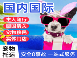 宁波航空快运国际宠物托运 【国